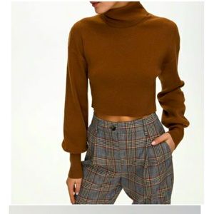 Aritzia Wilfred Turtleneck Sweater